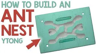 How to Build an Ant Nest #3 | YTONG Formicarium