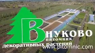 Мы постоянно меняемся