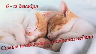 Самые необычные праздники недели (6-12 декабря)