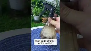 Make fertilizer using eggshells  #gardening #agriculture #farming