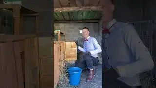Так нормально, господа и дамы ?