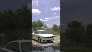 Officer SAVES Unresponsive Driver Using His Vehicle to Stop Car Rolling Through Intersection