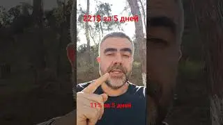 Путь к успеху день 5