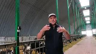 Поскольку импортировать скот — это дорого, в ТОО «Турар» пошли по пути голштинизации местных черно п