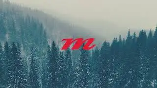 Manitou Mastodon Pro LE