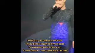 текст песни🎧 