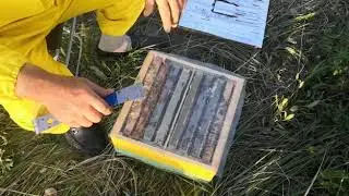 Нуклеус на 2 маткоместа на базе альпийского корпуса мфу