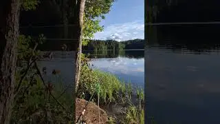 Рыбацкая идиллия! #Shorts