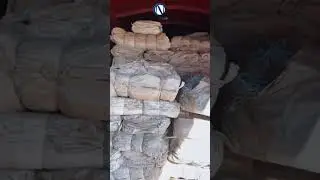 «КазАзот» АҚ Орал қаласына еріктілерді жіберу туралы шешім қабылдады #news #новости