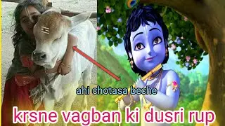 kulu funny kamesy /ଗୋମାତାଙ୍କ ଛୋଟ ଭିଡିଓ /srikrisna short video /howto yutube krisna sot kilip /