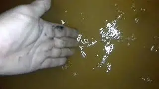 горячая вода.  типа мойтесь на здоровье.