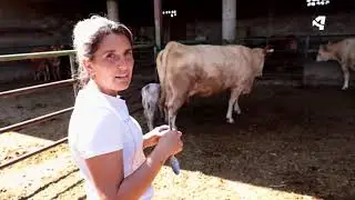 El yogur, el antídoto secreto de Bea
