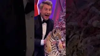 ЧП с тигром у Баскова