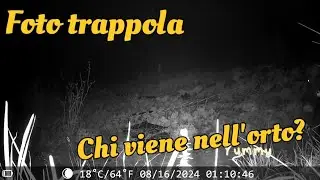 chi viene di notte nell'orto ?