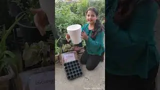 Gardening Essentials From Urvann | Urvann Review | #UrvanReview #Viral #shortvideos #Shorts #home
