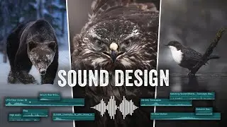 Make your videos come ALIVE with SOUND DESIGN | Nature & Wildlife edition