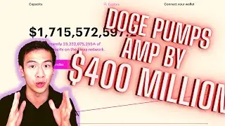 [The Dogecoin Effect] AMP Flexa Network & Amp Crypto