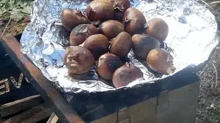 Roasting Chestnuts over an open fire (180 Tack stove)