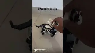 Robotics Training classes in chennai for kids from age 6 years. Quad Robotics  +91 8637612156