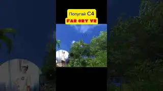 Попугай C4