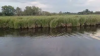 Дратхар 