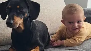 Quantas vezes lavaram as mãos hoje?