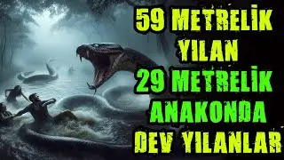 59 METRELİK YILAN 29 METRELİK ANAKONDA DEV YILANLAR