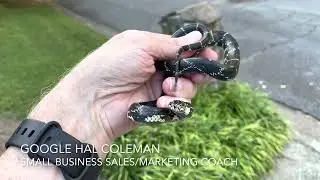 Hal Coleman sales trainer/small business marketing secrets