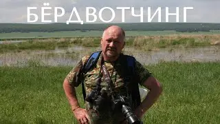 Как наблюдать за птицами, или как стать хорошим бердвотчером