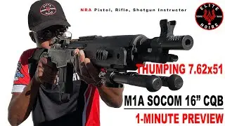 M1A SOCOM 16 CQB with Vortex Venom Red Dot - Trailer by Elite Noire Firearms Academy