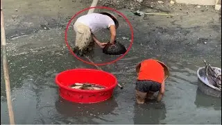 The skill of catching countless fish in a shallow pond - Traditional fishing with a fishing cage