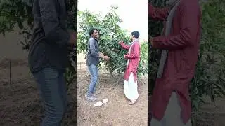 ભલાજી એ પેન્ટ બગાડ્યો || કોમેડી શોર્ટ વિડિયો ||