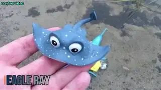 Learn Ocean Sea Animals Names for Kids with Toys