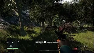 far cry 4 баг