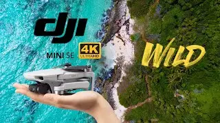 NATURALEZA HERMOSA 🌴😍 - Drone 4K ULTRA HD 🎥
