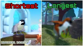 How LONG Does It Take To Get Every BIRD In FEATHER FAMILY?￼