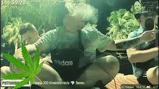 Pottukoira Ja Ari Chillaamassa #weed #fhat #pottukoira #subathon