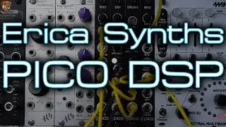 Erica Synths - PICO DSP