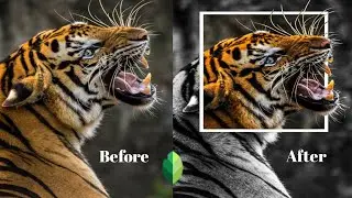 Simple Image Convert to 3D Image By Snapseed - যেকোন ছবিকে 3D ছবিতে রুপান্তরিত করুন | Mobile App