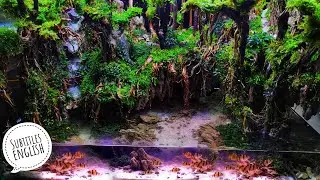 #155 Membuat Hutan tropis didalam Aquarium,Gilaaakkk mirip banged sama hutan asli !!!