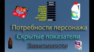 Protagonist Needs | Hidden Indicators | Dependencies | My Summer Car