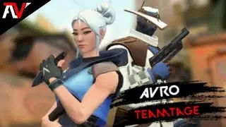 THE BEST VALORANT TEAMTAGE TO EXIST | AVRO TEAMTAGE | 