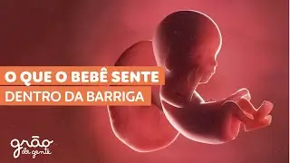 EVOLUÇÃO DO BEBÊ NA GRAVIDEZ SEMANA A SEMANA