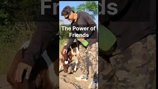 The Power of Friends - The 5 Friends for Wealth and Wisdom