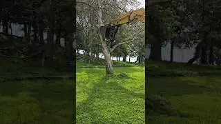 Can an Excavator Push a Tree over?? #Excavator #deere #treeremoval