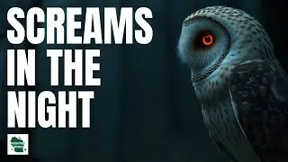 The Haunting Connection Between THIS BIRD and the Paranormal