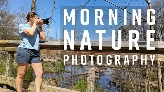 Nature Photography on a Spring Day with the Nikon Z6 - Company Mill Preserves