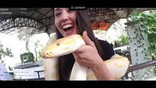 ✘ Ultimate Twitch Win Compilation #76