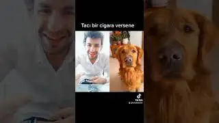 Tacı bir cigara versene sihirli annem:)))