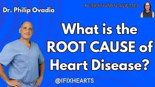The True Root Cause of Heart Disease Revealed!